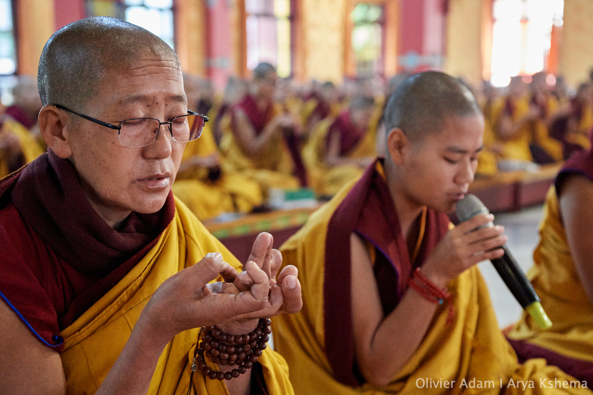 The Six Perfections and the Three Trainings, His Holiness the 17th Karmapa’s Teachings on Gampopa’s Ornament of Precious Liberation
